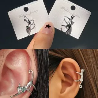 ایرکاف فیک گربه