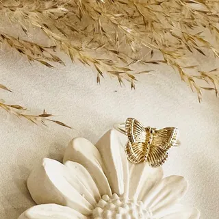انگشتر پروانه نقره ای ظریف با اشکال جزیی