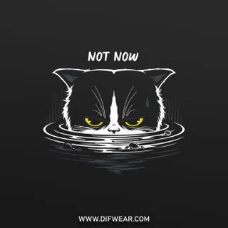 تیشرت Not Now #2