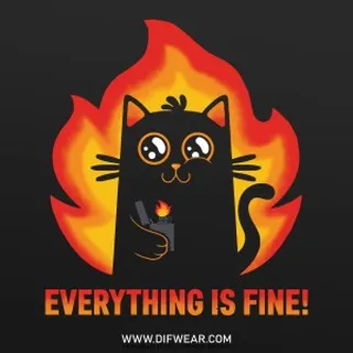 تیشرت Everything is Fine #2