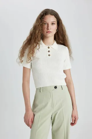 Defactoژاکت بافتنی یقه کوتاه اسلیم فیت پولو N9752az24sp