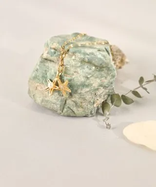 گردنبند دریایی