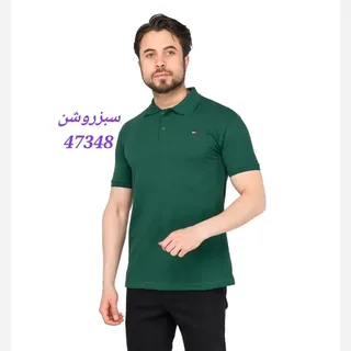 پولوشرت Polo مردانه جودون ساده  آستین کوتاه رنگ کله غازی 47346 کرم 47347 سبزروشن 47348 نسکافه ای 47349 کرم قهوه ای 47350
