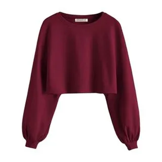 کراپ تیشرت آستین بلند زنانه آرمادیا مدل کبریتی فلورانس کد CH04