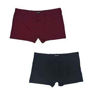 شورت مردانه ژولانیک مدل نیم پا کد ALBROZ بسته دو ع...