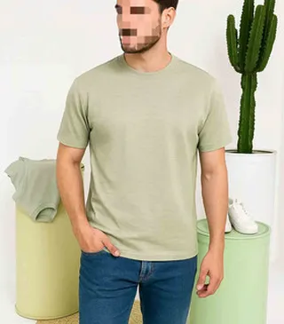 تیشرت بیسکویتی مردانه کد 4587