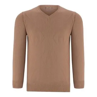 پلیور مردانه رایکا مدل 2290 رنگ نسکافه ای