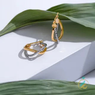 گوشواره ضربدری دو رنگ