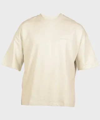 تیشرت مردانه باکسی ساده ماچینیست طوسی روشن 2253