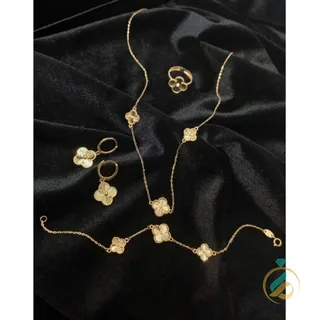 سرویس کامل ونکلیف