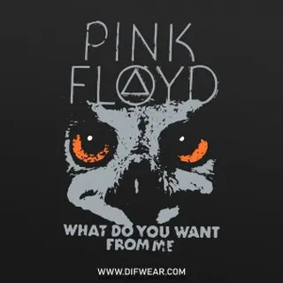 تیشرت Pink Floyd #22