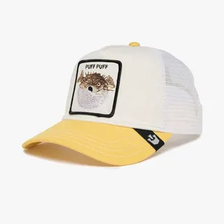 کپ گورین براز