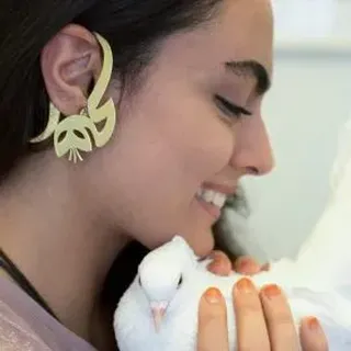 گوشپاره هیچ