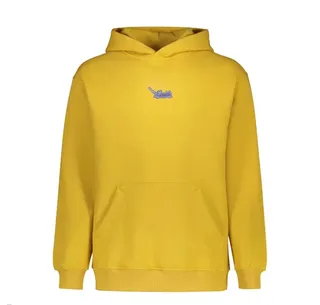 هودی گربه زرد